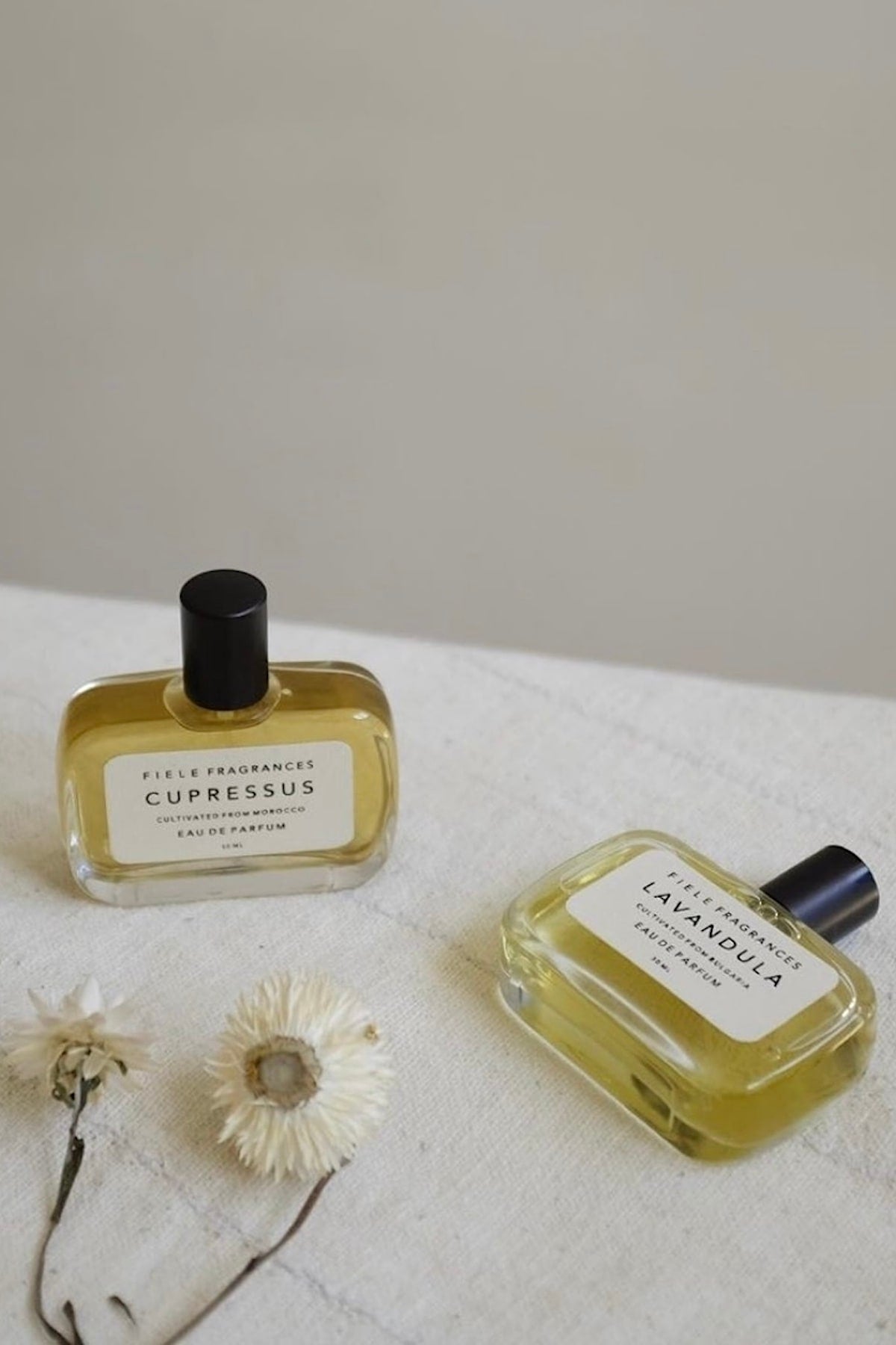 Fiele Fragrances - Perfume I Cupressus Cupressus 50 ML 1 - Rabens Saloner - DK