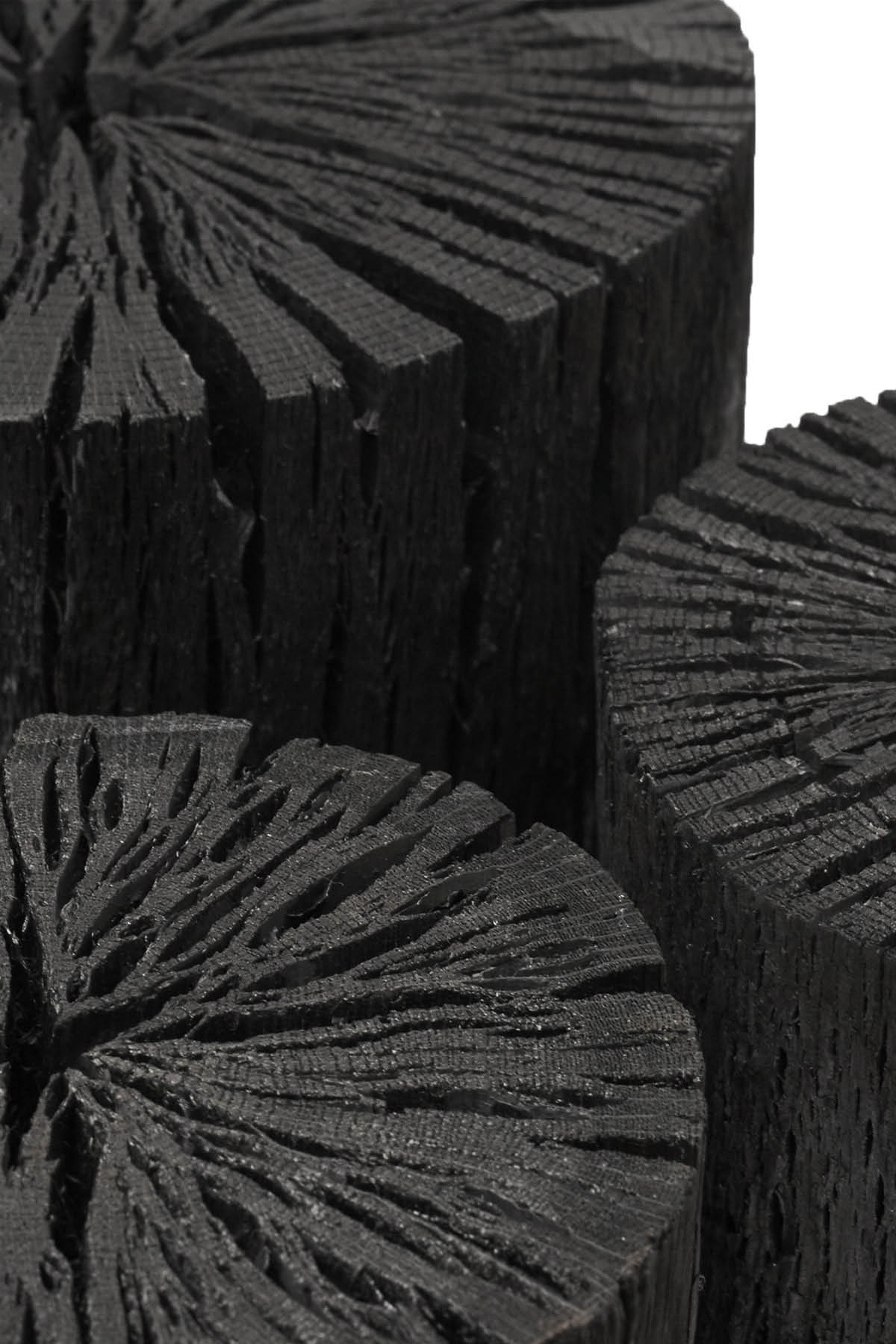 Hakutan Coal - Sort Of Coal I Clear 2 - Rabens Saloner - DK