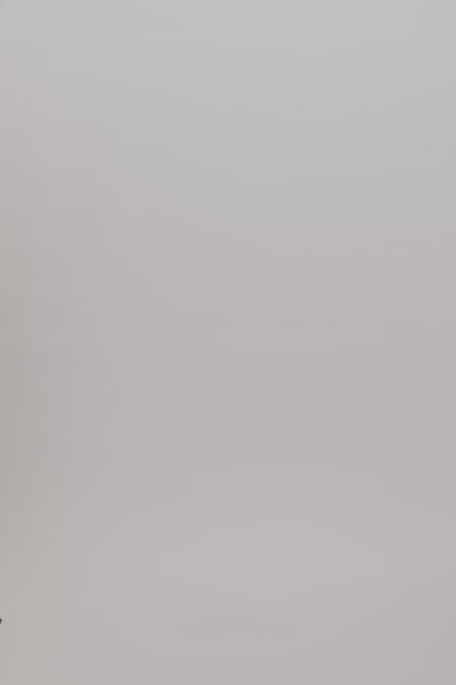 Ingeborg - Papery sleeveless blouse I Powder 8 - Rabens Saloner - DK