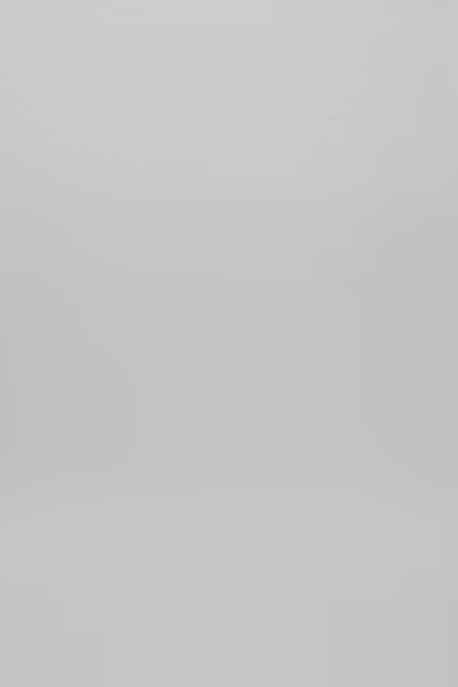 Lilou - Sheer lace panelled dress I Hazelnut 5 - Rabens Saloner - DK